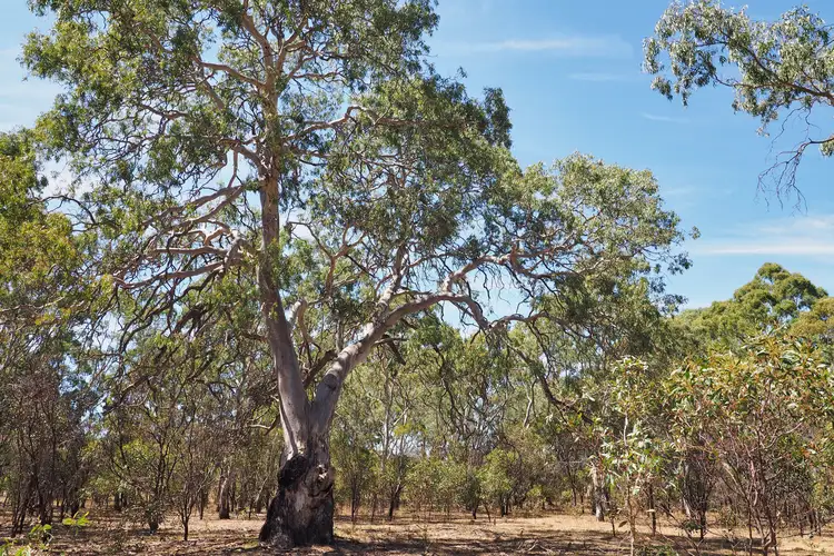 Third view of Homely land listing, Saw Pit Flat Road, Ararat VIC 3377