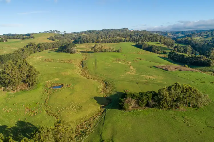Second view of Homely house listing, 313 Barham River Road, Apollo Bay VIC 3233