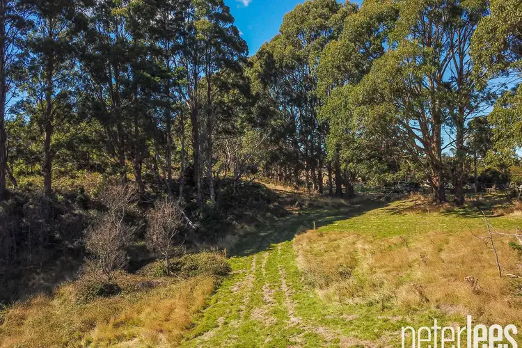 Fifth view of Homely rural property listing, 3 Quigleys Road, Holwell TAS 7275