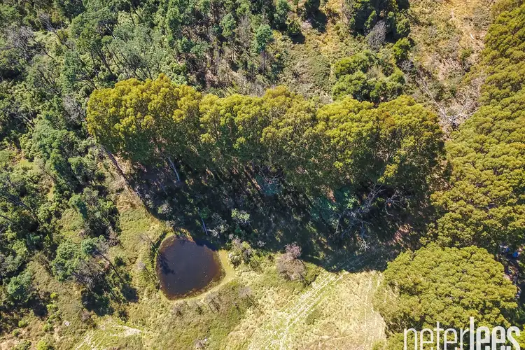 Sixth view of Homely rural property listing, 3 Quigleys Road, Holwell TAS 7275