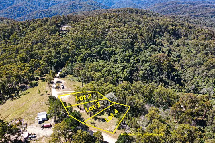 Sixth view of Homely rural property listing, LOT 1-12 Happy Go Lucky Road, Walhalla VIC 3825