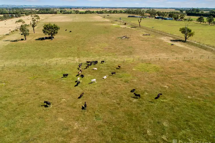 Fourth view of Homely rural property listing, 215 Evans Road, Longwarry VIC 3816