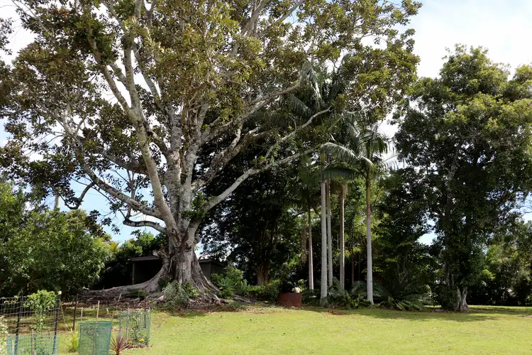 Fourth view of Homely land listing, 154 Gungas Road, Nimbin NSW 2480