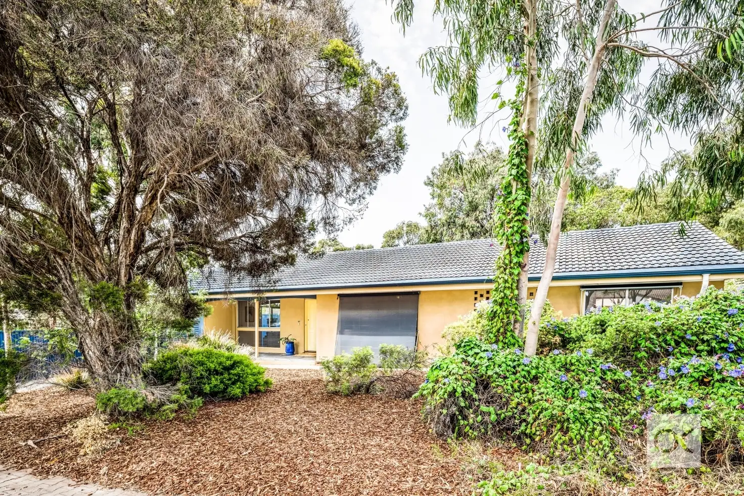 Main view of Homely house listing, 75 Cashel Street, Pasadena SA 5042