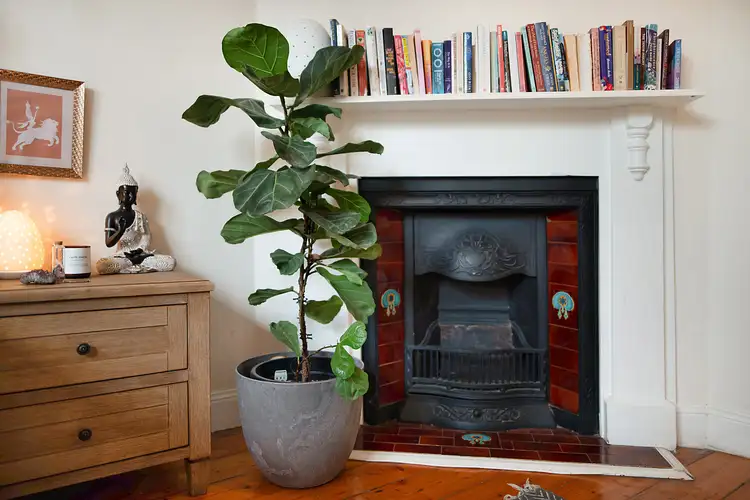 Sixth view of Homely house listing, 78 Macquarie Street, Merewether NSW 2291