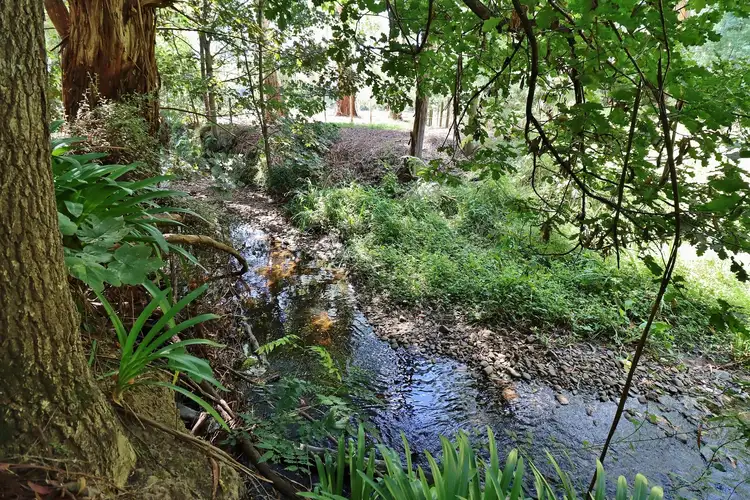 Seventh view of Homely land listing, 41 Farnham Road, Healesville VIC 3777