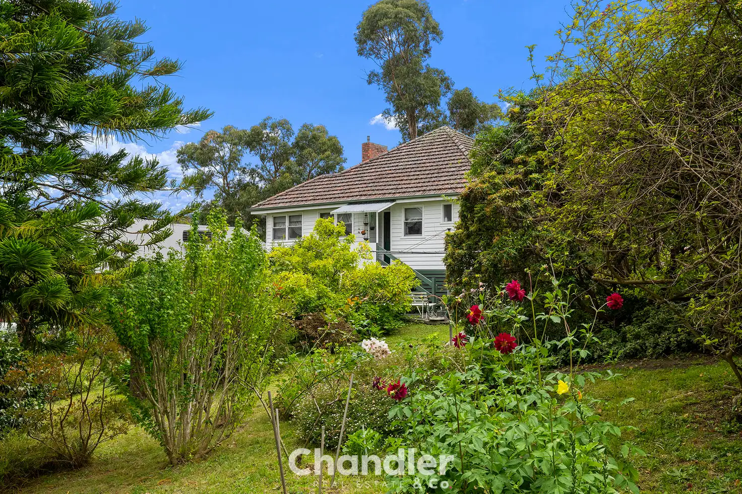 Main view of Homely house listing, 8 Frame Avenue, Tecoma VIC 3160
