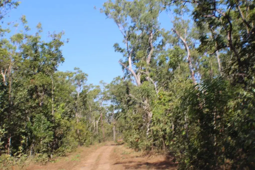 Main view of Homely land listing, Address available on request