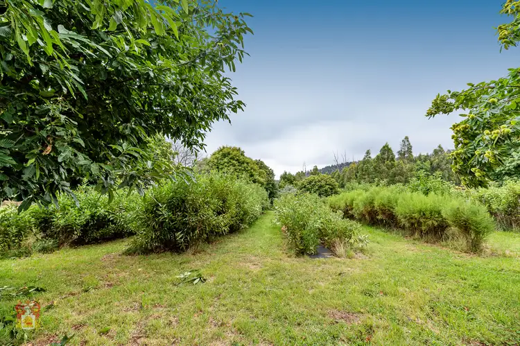 Fourth view of Homely land listing, 10 Fairview Road, Kinglake VIC 3763