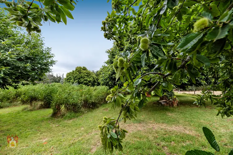 Fifth view of Homely land listing, 10 Fairview Road, Kinglake VIC 3763