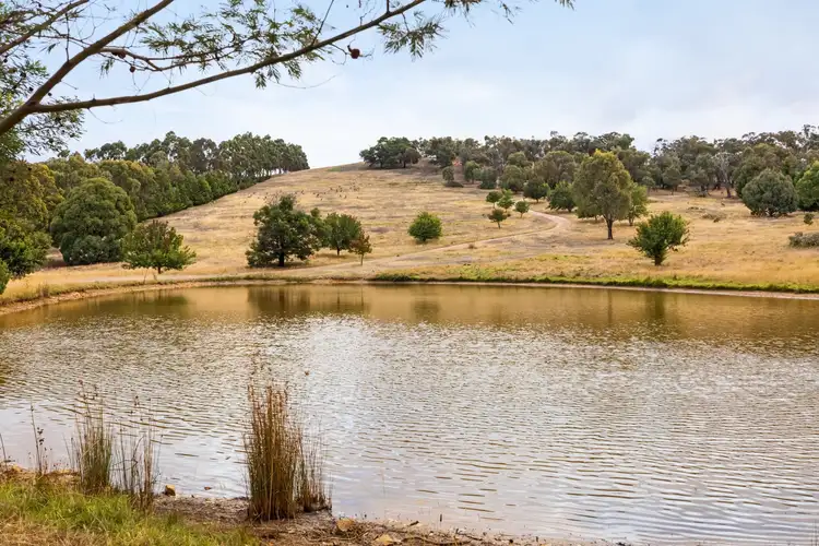 Second view of Homely house listing, 111 Mount Charlie Road, Riddells Creek VIC 3431