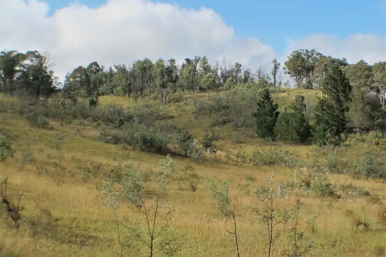 Main view of Homely rural property listing, 2084 Campbells Creek Road, Mudgee NSW 2850