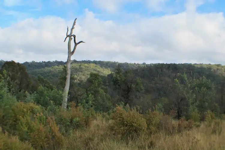 Seventh view of Homely rural property listing, 2084 Campbells Creek Road, Mudgee NSW 2850