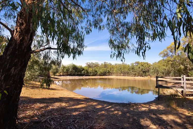 Second view of Homely house listing, 91 Frawley Lane, Eppalock VIC 3551