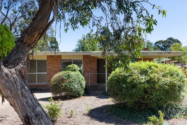 Third view of Homely house listing, 14 Newton Street, Hackett ACT 2602