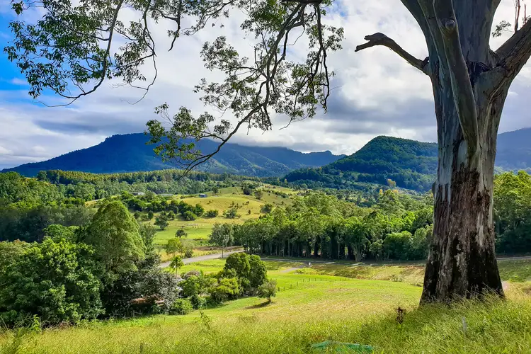 Fifth view of Homely land listing, LOT 16, 198 Gungas Road, Nimbin NSW 2480