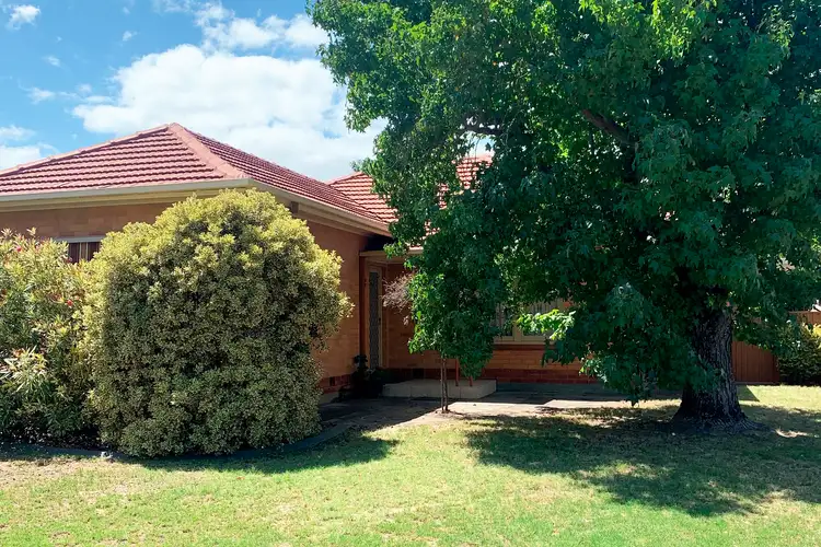 Main view of Homely house listing, 55 Clifton Street, Camden Park SA 5038
