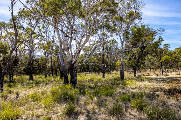 Third view of Homely land listing, Lot 3 Fynbos Place, Primrose Sands TAS 7173