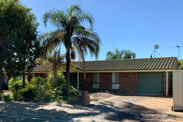 20 Theodore Avenue, Athelstone SA 5076