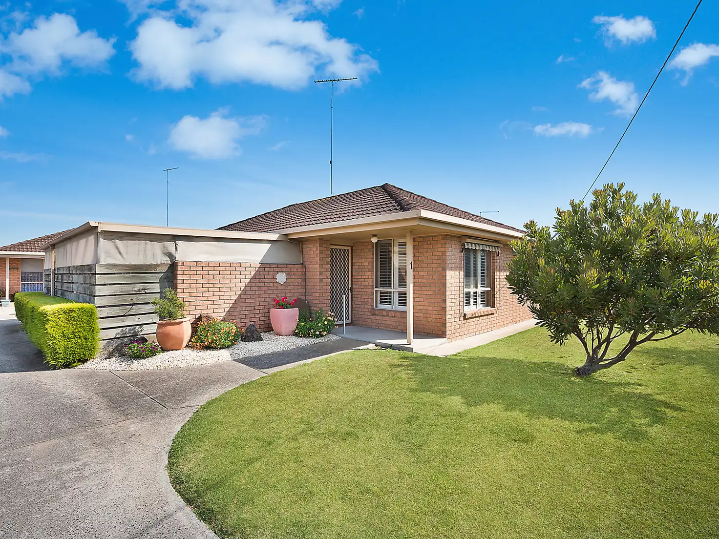 Main view of Homely unit listing, 1/4 Patrick Street, Whittington VIC 3219