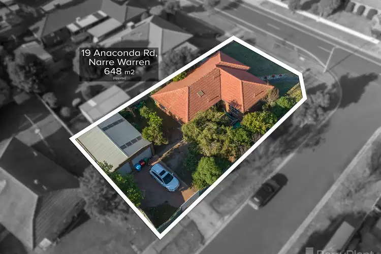 19 Anaconda Road, Narre Warren VIC 3805