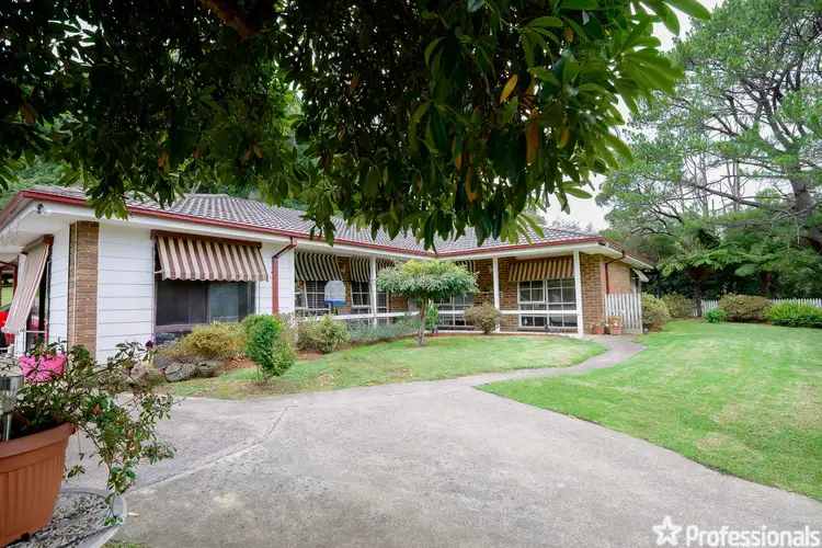 Main view of Homely house listing, 92 Wonga Road, Millgrove VIC 3799