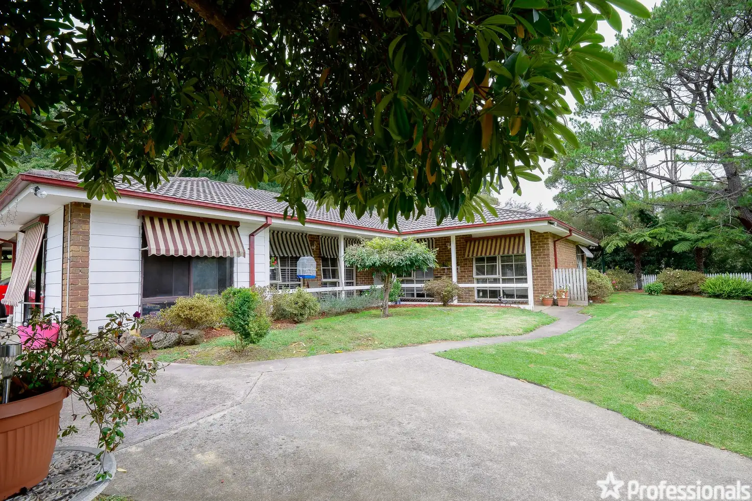 Main view of Homely house listing, 92 Wonga Road, Millgrove VIC 3799