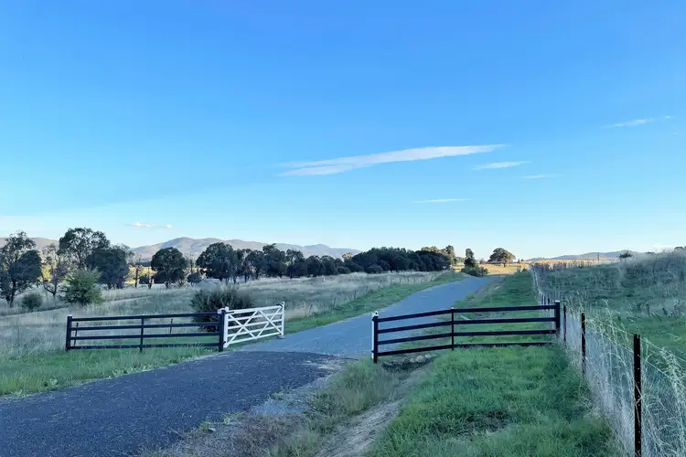 Second view of Homely rural property listing, 113 Candy Road, Burra NSW 2620