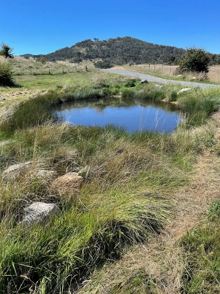 Fifth view of Homely rural property listing, 113 Candy Road, Burra NSW 2620