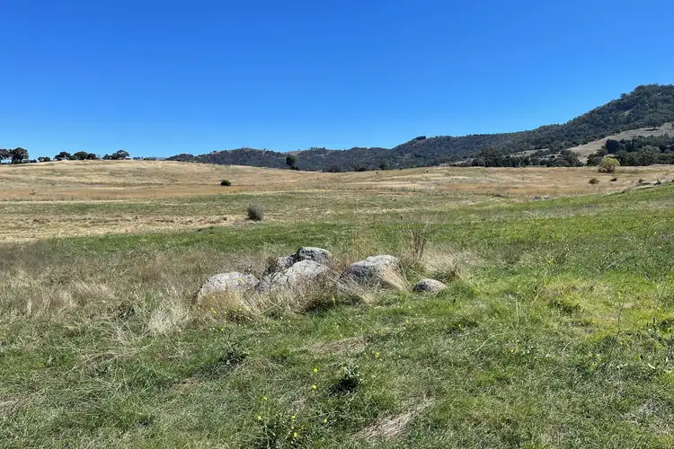 Sixth view of Homely rural property listing, 113 Candy Road, Burra NSW 2620