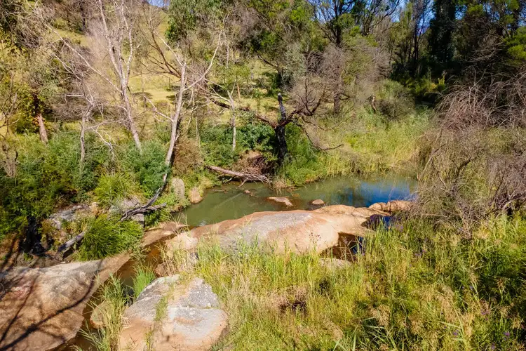 Third view of Homely rural property listing, 159 Upper Brogo Road, Verona NSW 2550