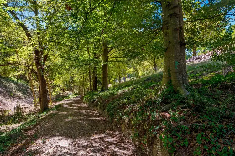 Sixth view of Homely land listing, 30 Birch Road, Stirling SA 5152