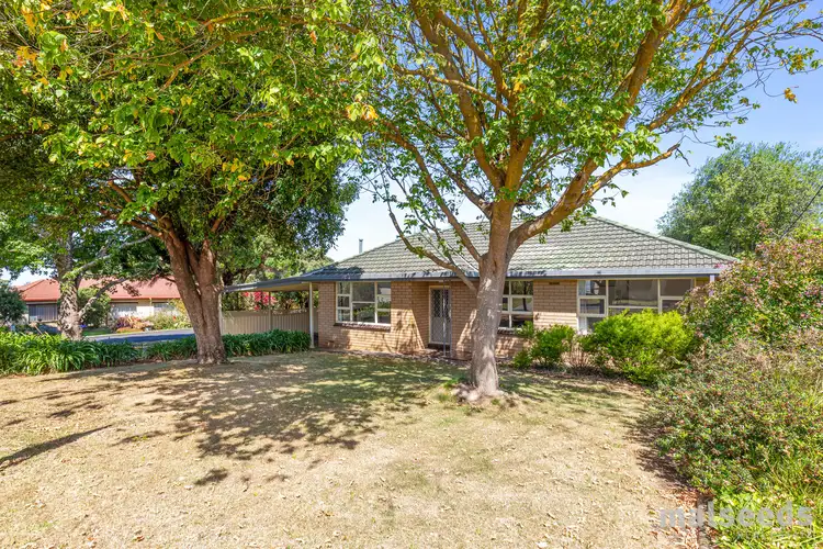Second view of Homely house listing, 4 Hillcrest Avenue, Mount Gambier SA 5290