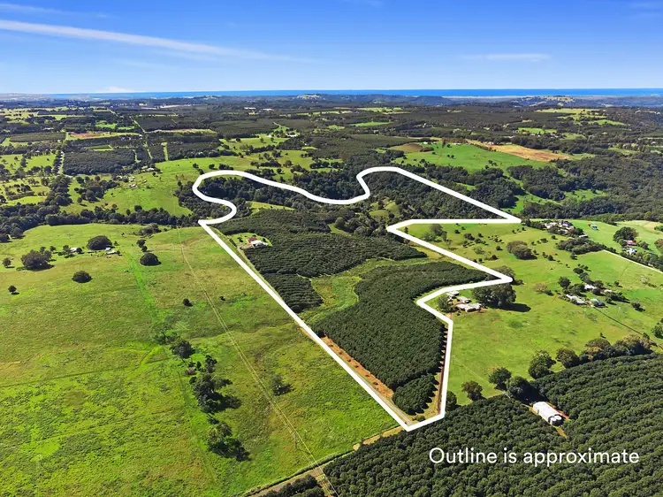 Main view of Homely rural property listing, 28 Mollys Grass Road, Tregeagle NSW 2480