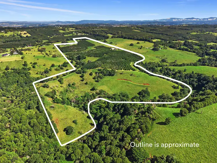 Second view of Homely rural property listing, 28 Mollys Grass Road, Tregeagle NSW 2480