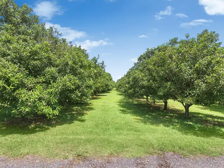 Fourth view of Homely rural property listing, 28 Mollys Grass Road, Tregeagle NSW 2480