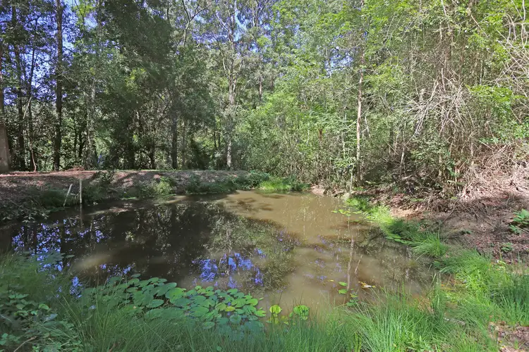 Third view of Homely rural property listing, 645 Williams Road, Barkers Vale NSW 2474