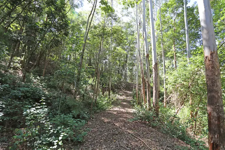 Fifth view of Homely rural property listing, 645 Williams Road, Barkers Vale NSW 2474