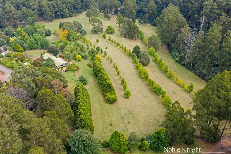 Main view of Homely house listing, 215 Spraggs Road, Toolangi VIC 3777