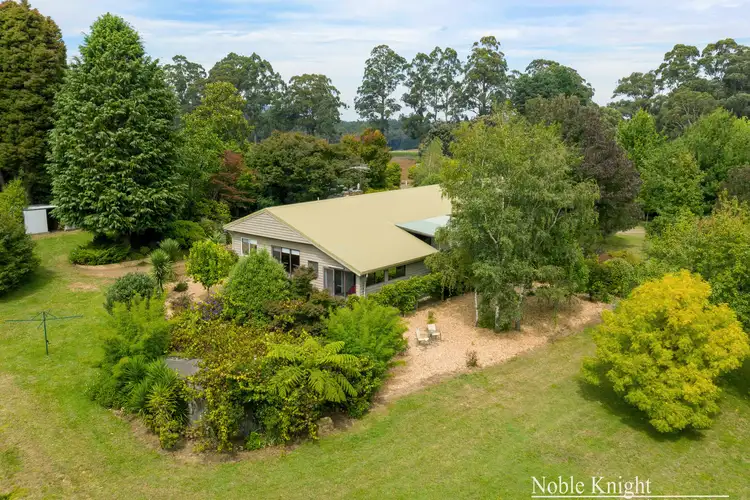 Second view of Homely house listing, 215 Spraggs Road, Toolangi VIC 3777