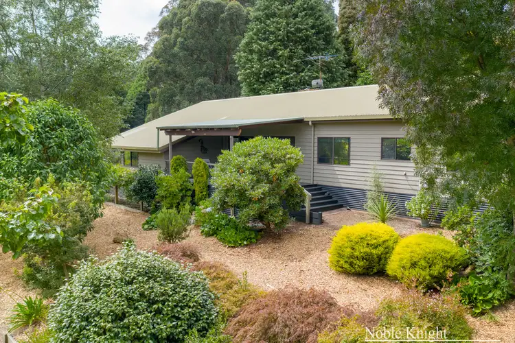 Third view of Homely house listing, 215 Spraggs Road, Toolangi VIC 3777