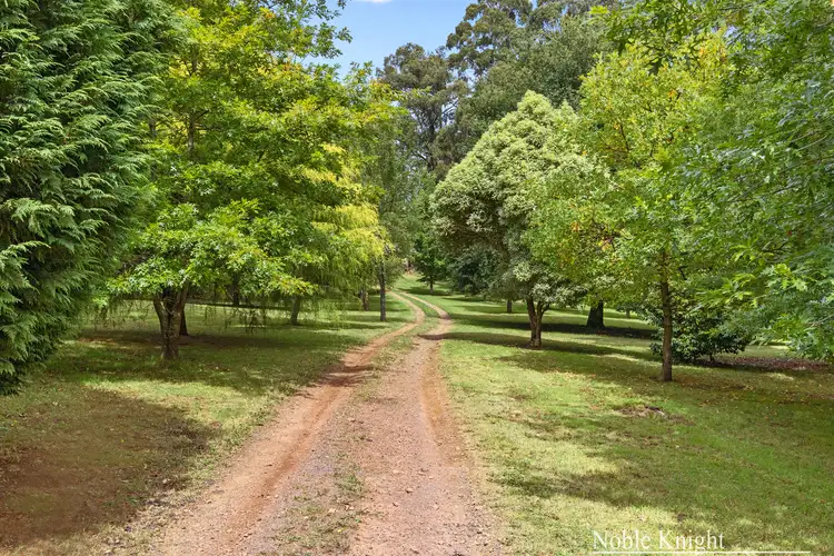 Fourth view of Homely house listing, 215 Spraggs Road, Toolangi VIC 3777