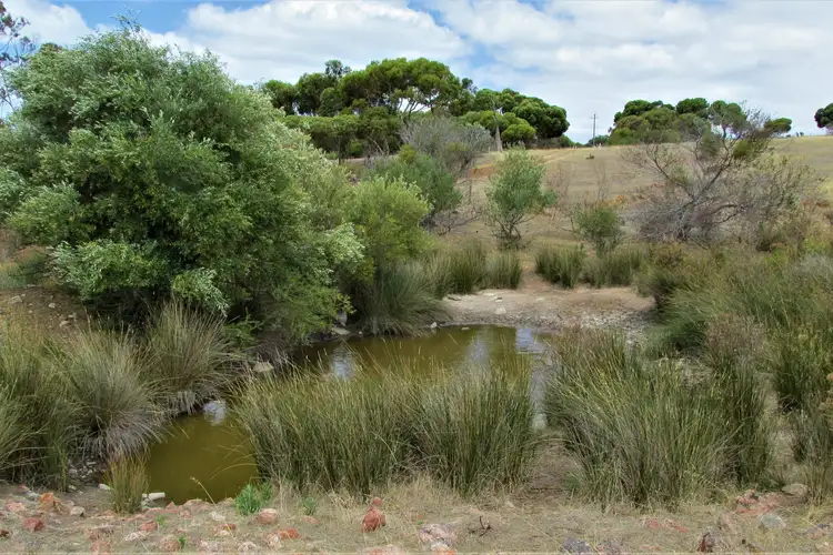 Seventh view of Homely land listing, 91 Howard Avenue, Boston SA 5607