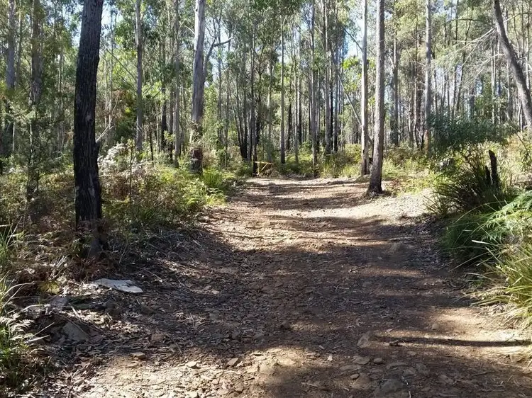 Main view of Homely land listing, 1104 Prossers Road, Underwood TAS 7268