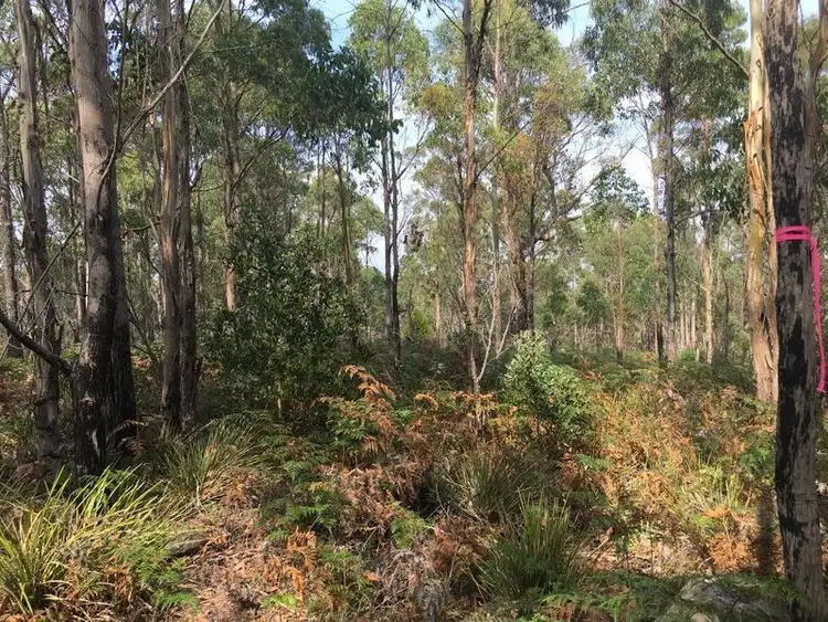 Third view of Homely land listing, 1104 Prossers Road, Underwood TAS 7268