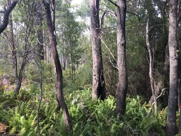 Fourth view of Homely land listing, 1104 Prossers Road, Underwood TAS 7268