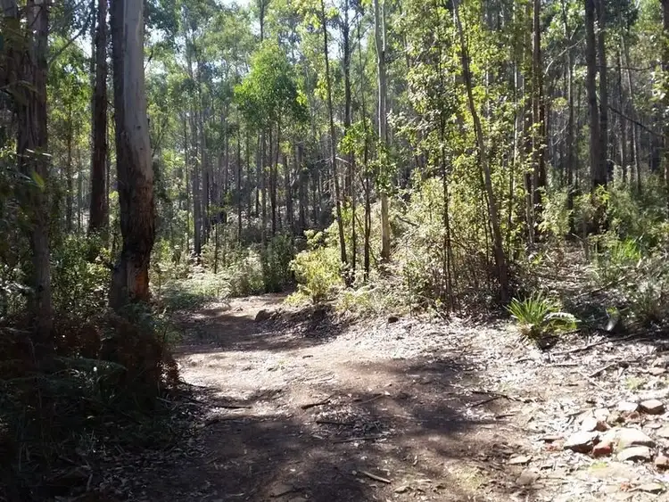 Sixth view of Homely land listing, 1104 Prossers Road, Underwood TAS 7268