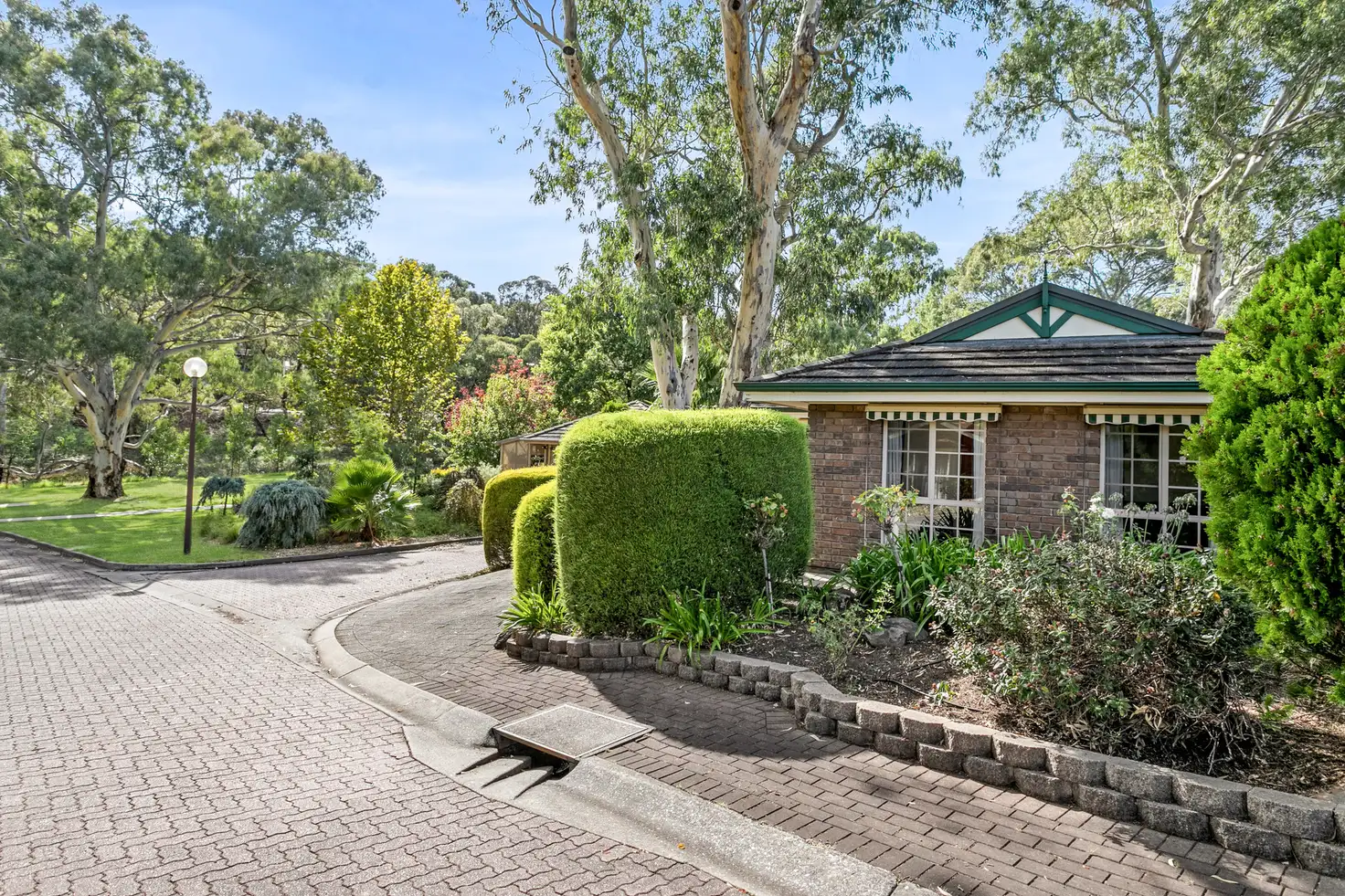 Main view of Homely house listing, 8 Egret Court, Flagstaff Hill SA 5159