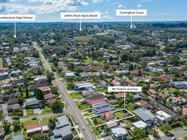 Sixth view of Homely house listing, 56 Tintern Avenue, Telopea NSW 2117