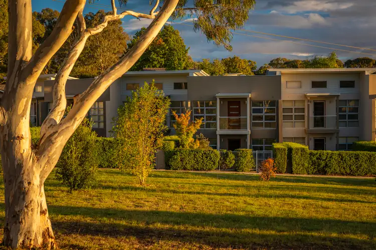 Main view of Homely townhouse listing, 5/20 Power Street, Mawson ACT 2607